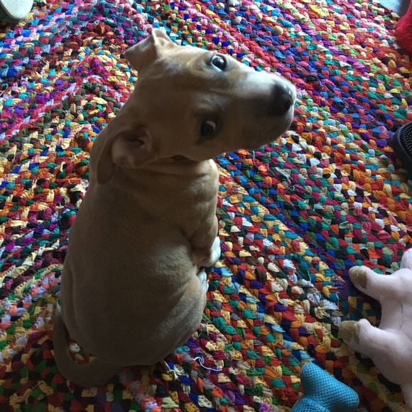 Meet your Posher, Laura - Picture 3 of 3